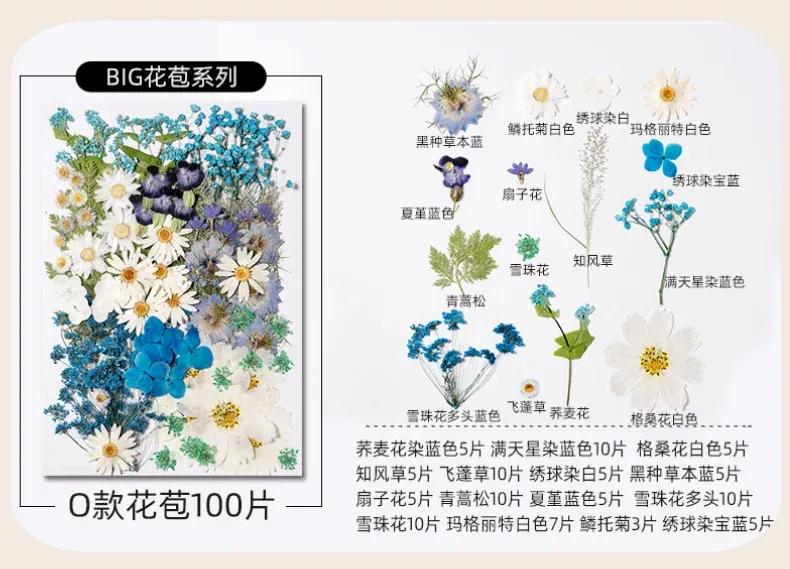 Kit fleurs séchées pressées colorées 65 à 110 pièces