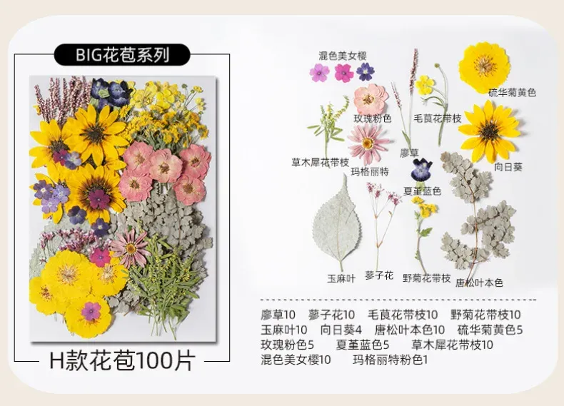 Kit fleurs séchées pressées colorées 65 à 110 pièces