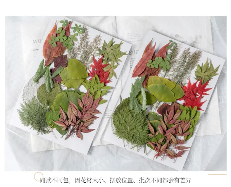 Kit fleurs séchées pressées colorées 65 à 110 pièces