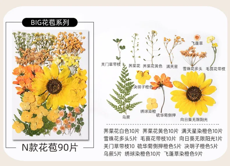 Kit fleurs séchées pressées colorées 65 à 110 pièces