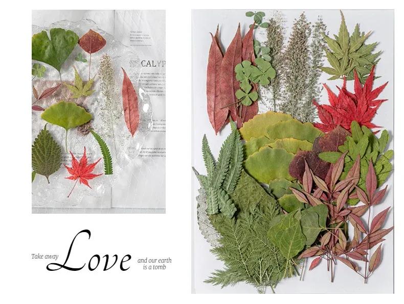 Kit fleurs séchées pressées colorées 65 à 110 pièces