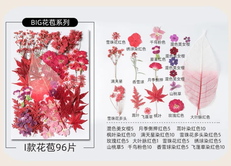Kit fleurs séchées pressées colorées 65 à 110 pièces