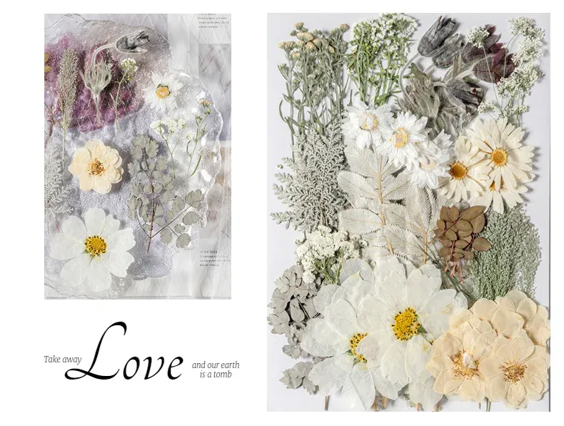 Kit fleurs séchées pressées colorées 65 à 110 pièces