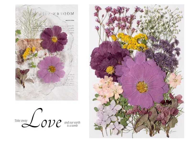 Kit fleurs séchées pressées colorées 65 à 110 pièces