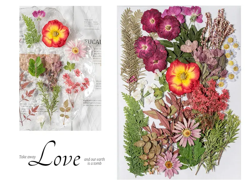 Kit fleurs séchées pressées colorées 65 à 110 pièces