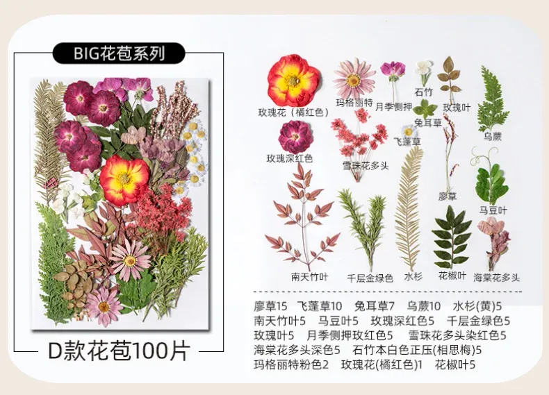 Kit fleurs séchées pressées colorées 65 à 110 pièces