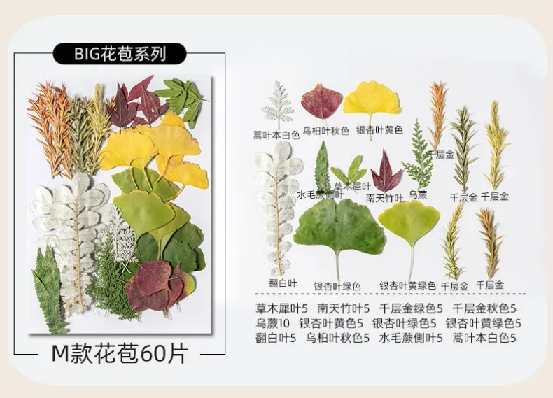 Kit fleurs séchées pressées colorées 65 à 110 pièces
