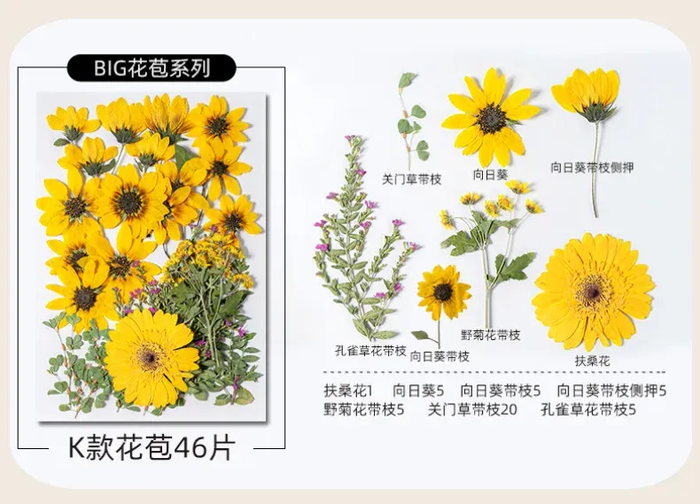 Kit fleurs séchées pressées colorées 65 à 110 pièces