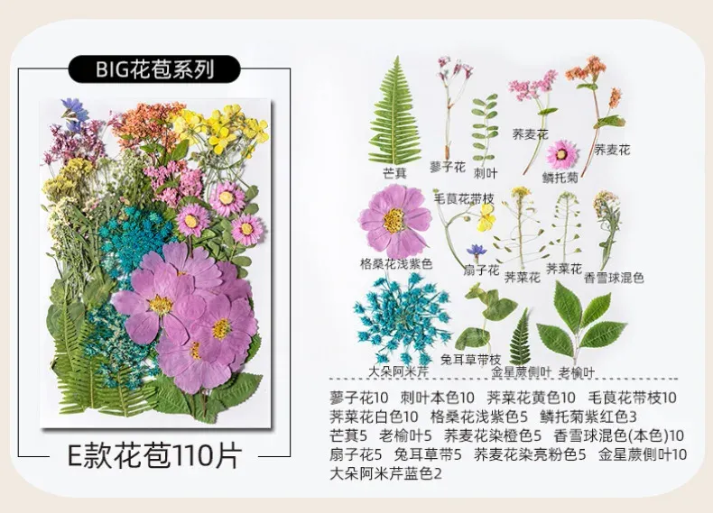 Kit fleurs séchées pressées colorées 65 à 110 pièces