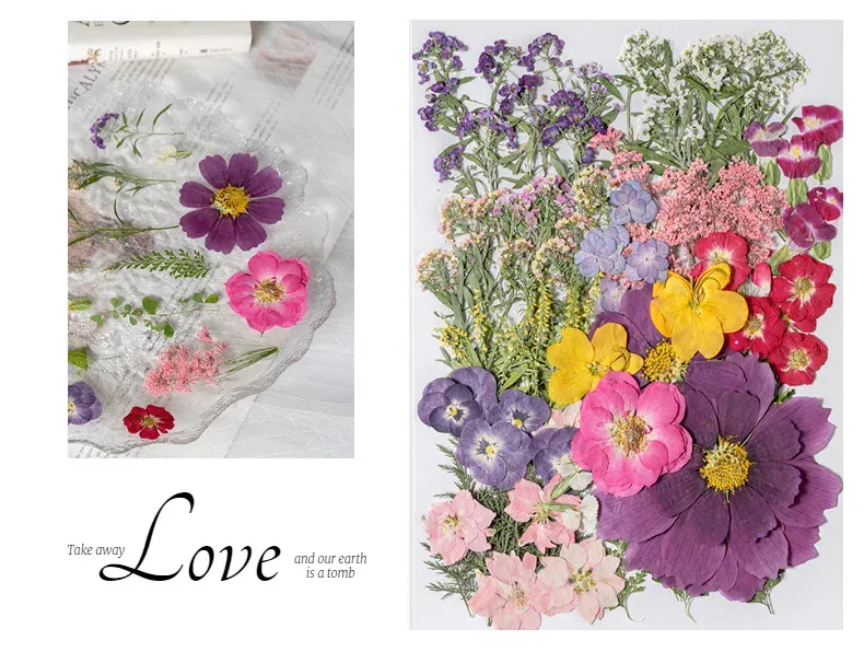Kit fleurs séchées pressées colorées 65 à 110 pièces