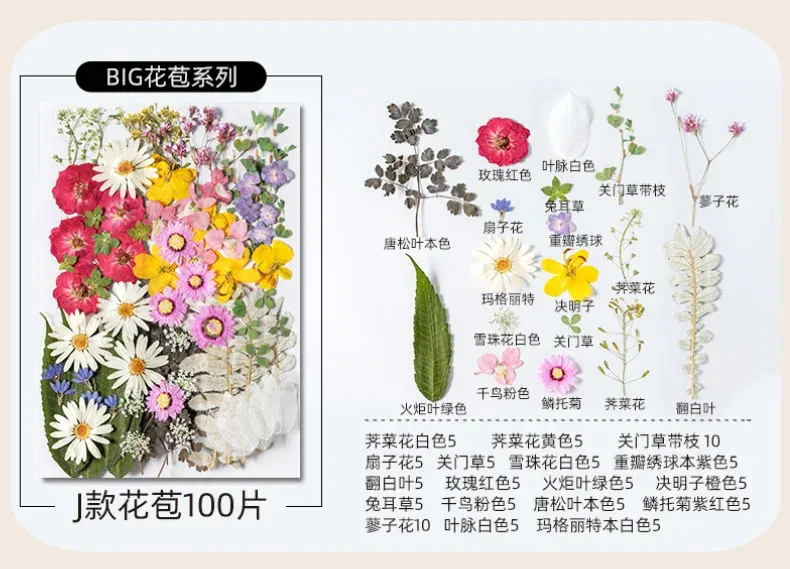 Kit fleurs séchées pressées colorées 65 à 110 pièces