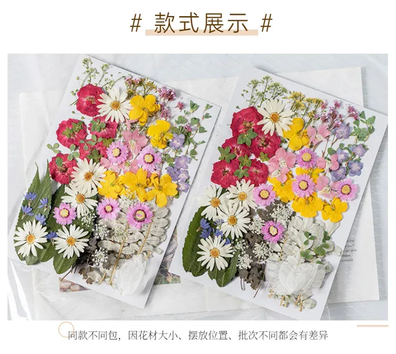Kit fleurs séchées pressées colorées 65 à 110 pièces