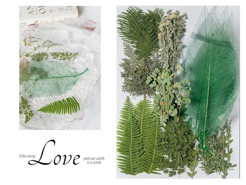 Kit fleurs séchées pressées colorées 65 à 110 pièces