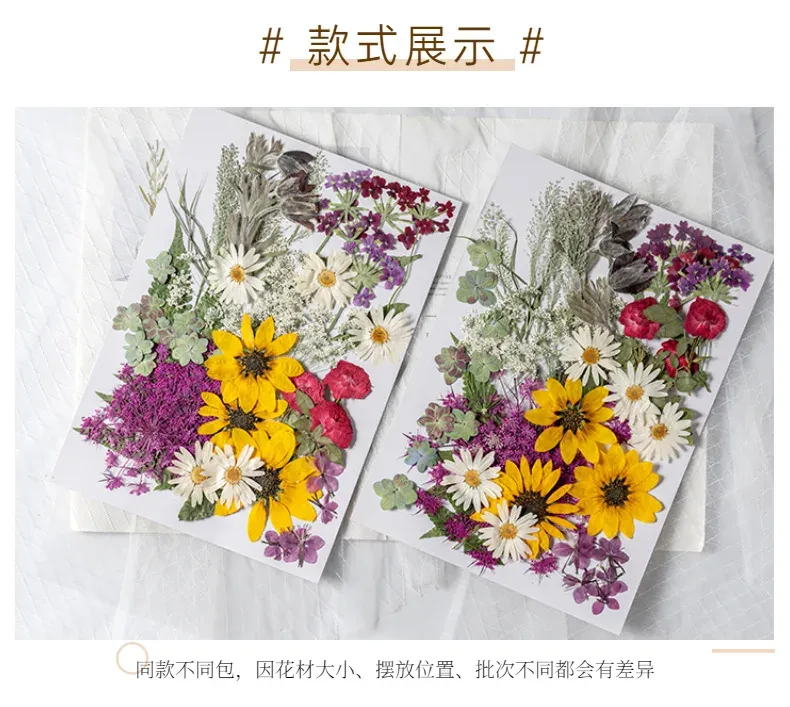 Kit fleurs séchées pressées colorées 65 à 110 pièces