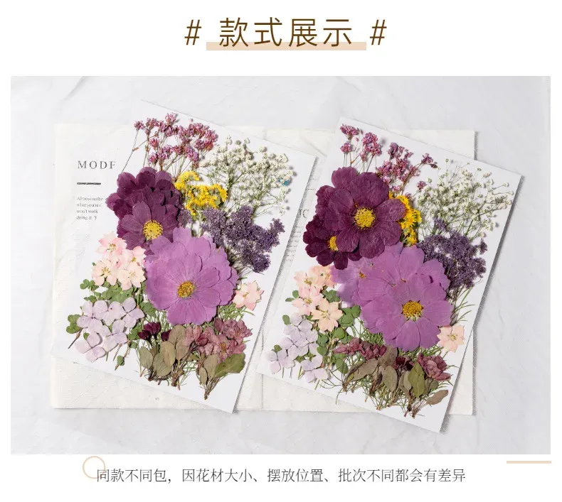 Kit fleurs séchées pressées colorées 65 à 110 pièces