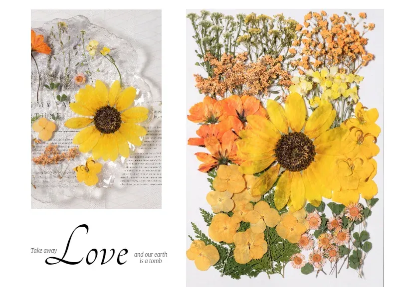 Kit fleurs séchées pressées colorées 65 à 110 pièces