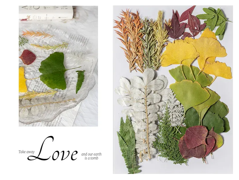 Kit fleurs séchées pressées colorées 65 à 110 pièces