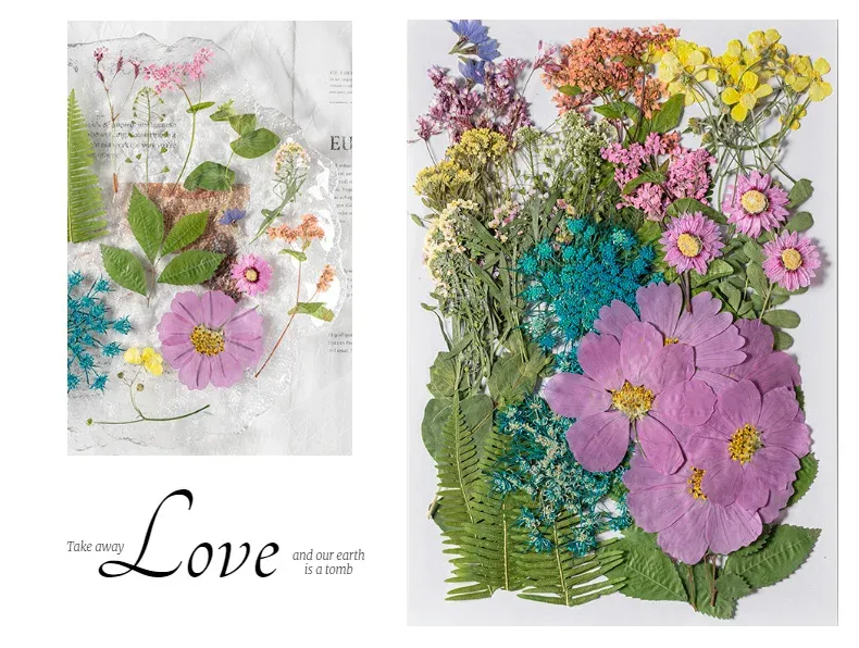 Kit fleurs séchées pressées colorées 65 à 110 pièces