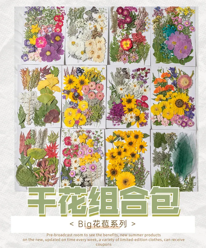 Kit fleurs séchées pressées colorées 65 à 110 pièces