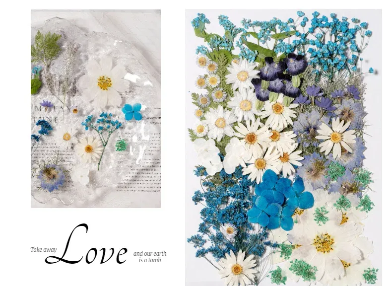 Kit fleurs séchées pressées colorées 65 à 110 pièces