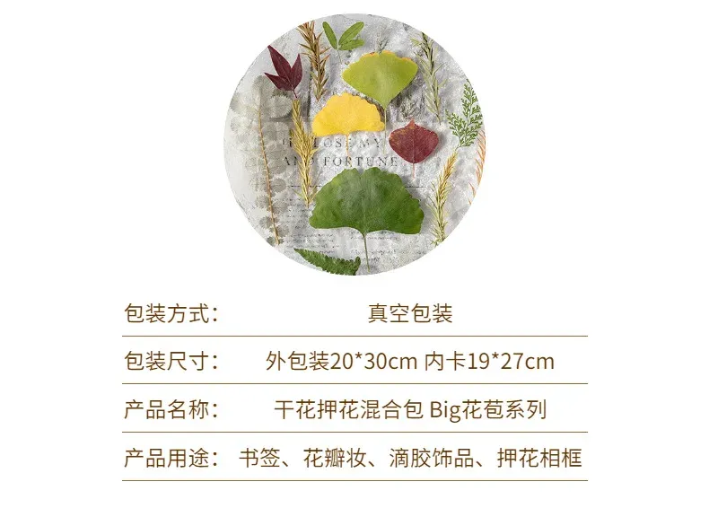 Kit fleurs séchées pressées colorées 65 à 110 pièces