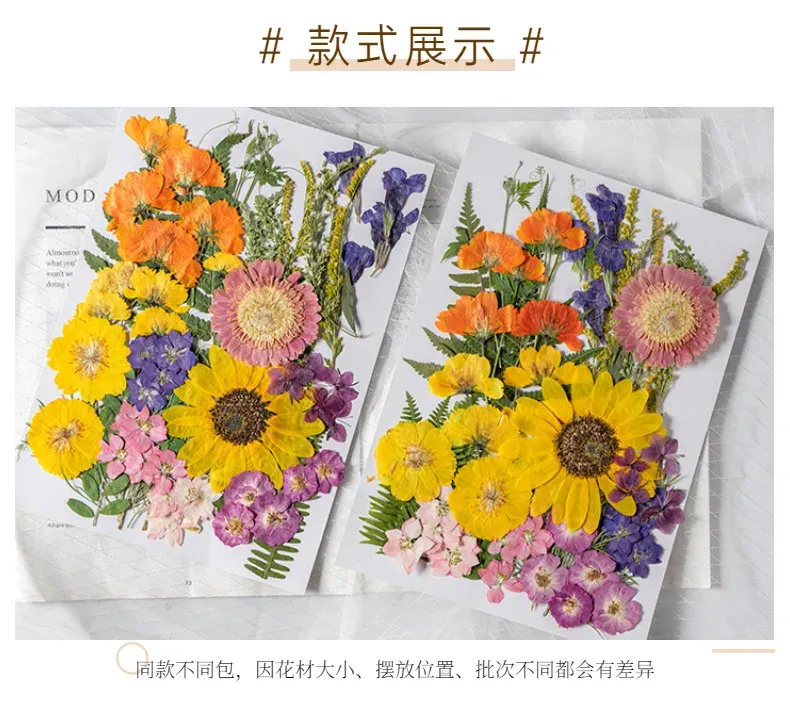 Kit fleurs séchées pressées colorées 65 à 110 pièces