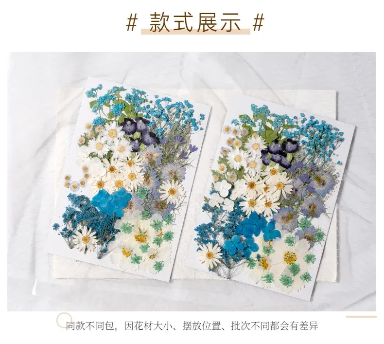 Kit fleurs séchées pressées colorées 65 à 110 pièces