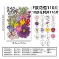 Kit fleurs séchées pressées colorées 65 à 110 pièces – Couleur F 110Pcs