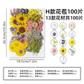 Kit fleurs séchées pressées colorées 65 à 110 pièces – Couleur H 100Pcs