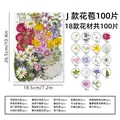 Kit fleurs séchées pressées colorées 65 à 110 pièces – Couleur J 100Pcs