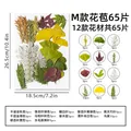 Kit fleurs séchées pressées colorées 65 à 110 pièces – Couleur M 65Pcs