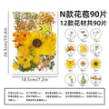 Kit fleurs séchées pressées colorées 65 à 110 pièces – Couleur N 90Pcs