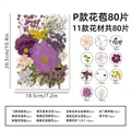 Kit fleurs séchées pressées colorées 65 à 110 pièces – Couleur P 80Pcs