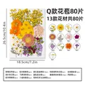 Kit fleurs séchées pressées colorées 65 à 110 pièces – Couleur Q 80Pcs