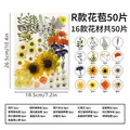 Kit fleurs séchées pressées colorées 65 à 110 pièces – Couleur R 80Pcs