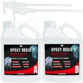 Kit résine époxy sans bulles 1:1 pour petites créations – Couleur 32oz with Pumps