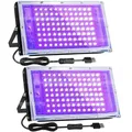 Lampe UV résine séchage rapide pour bijoux et décoration – Couleur de l'abat-jour ZLL-ZG-96Z-2P