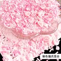 Lot 10 à 50 g flocons argile douce pour remplissage résine – Color Cat Paw Mixed