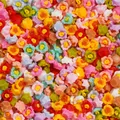 Lot 100 pièces fleurs séchées pour remplissage résine et bijoux – Couleur Color 12