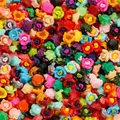 Lot 100 pièces fleurs séchées pour remplissage résine et bijoux – Couleur Color 01