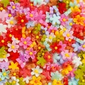 Lot 100 pièces fleurs séchées pour remplissage résine et bijoux – Couleur Color 16