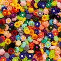 Lot 100 pièces fleurs séchées pour remplissage résine et bijoux – Couleur Color 13
