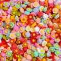 Lot 100 pièces fleurs séchées pour remplissage résine et bijoux – Couleur Color 05