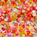Lot 100 pièces fleurs séchées pour remplissage résine et bijoux – Couleur Color 06