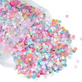 Lot 20 g paillettes cœur étoile lettre coquille pour résine – Couleur Rabbit