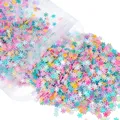 Lot 20 g paillettes cœur étoile lettre coquille pour résine – Couleur Snowflake