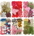 Lot de 100 fleurs et feuilles séchées pour résine et cadres – 1