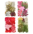 Lot de 100 fleurs et feuilles séchées pour résine et cadres – 3