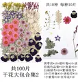 Lot de 100 fleurs et feuilles séchées pour résine et cadres – 4