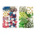 Lot de 100 fleurs et feuilles séchées pour résine et cadres – 6